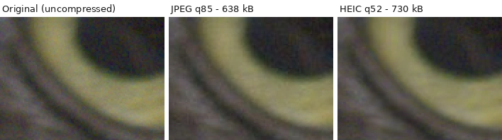 Three crops of a cat's eye and fur. Left: original. Middle: JPEG at quality 85. Right: HEIC at quality 52, matched to the same quality score. The three look alike.