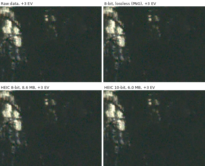 Four crops of a dark pine tree and bright reflections after a three-stop shadow lift. All four look alike at this size.
